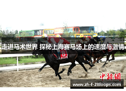 走进马术世界 探秘上海赛马场上的速度与激情 走进马术世界 探秘上海赛马场上的速度与激情