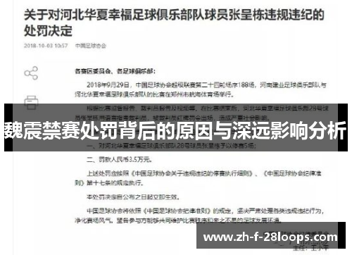 魏震禁赛处罚背后的原因与深远影响分析